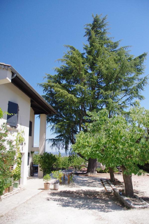 Le Grand Cedre - 2 Chambres D'Hotes - Sud Ardeche Бур-Сент-Андеоль Екстер'єр фото